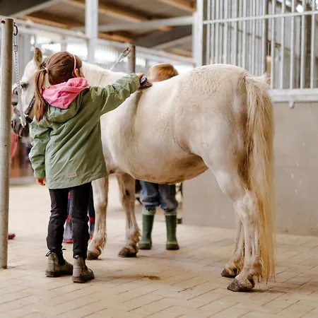 Backhaus 3 בית נופש