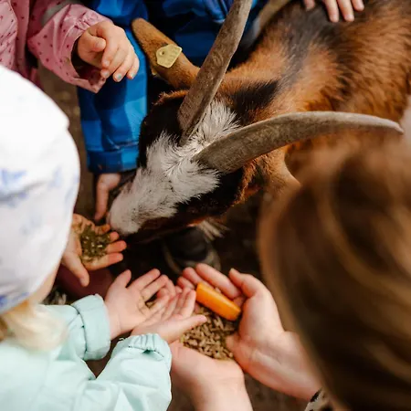 בית נופש Backhaus 3