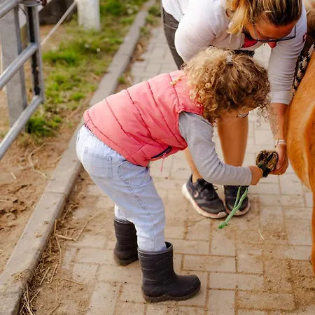 Backhaus 3 Nyaraló *