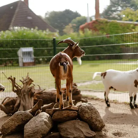 Backhaus 3 Nyaraló Staberdorf