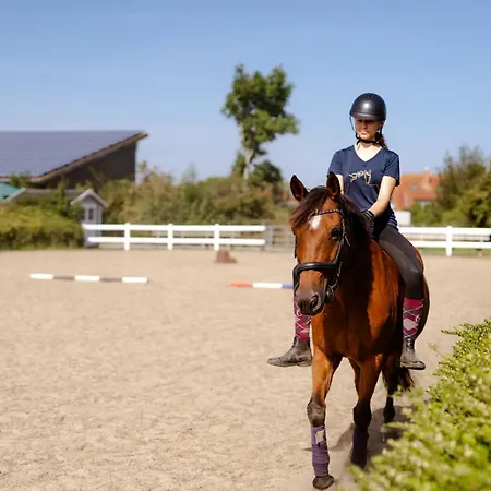 Backhaus 3 * Staberdorf