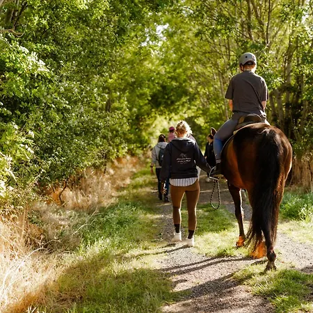 Backhaus 3 Nyaraló *