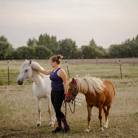 Backhaus 3 Nyaraló Staberdorf