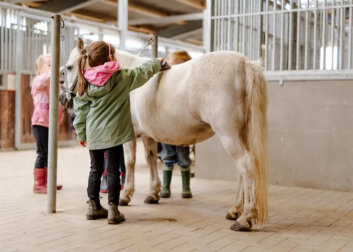 Backhaus 3 بيت للعطل