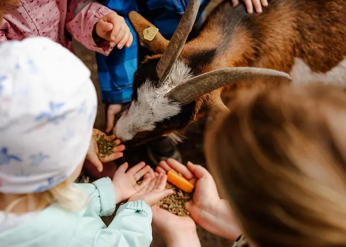 بيت للعطل Backhaus 3