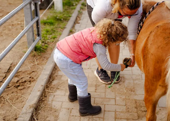 Backhaus 3 بيت للعطل *