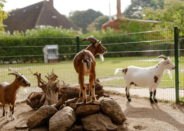 Backhaus 3 بيت للعطل Staberdorf