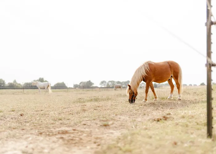 بيت للعطل Backhaus 3 *