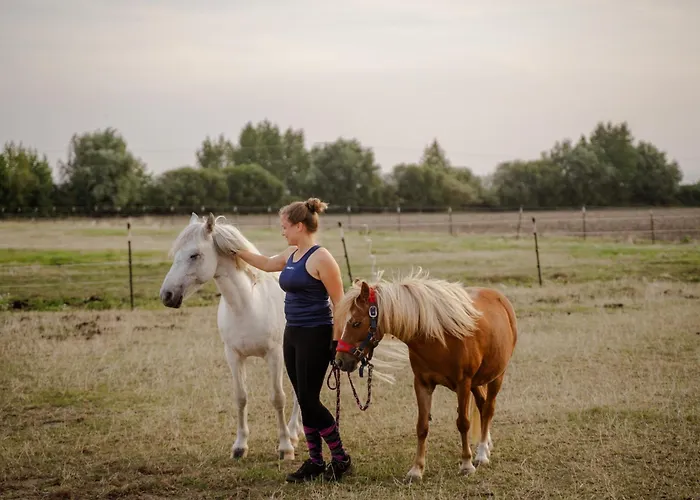 Backhaus 3 بيت للعطل Staberdorf