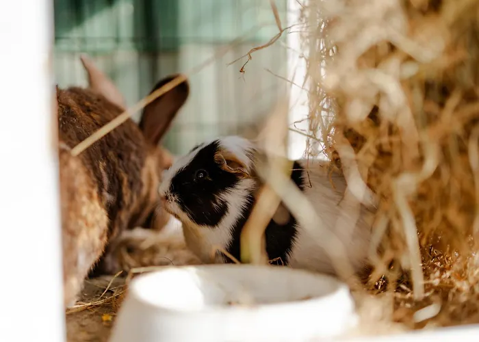 Backhaus 3 * Staberdorf